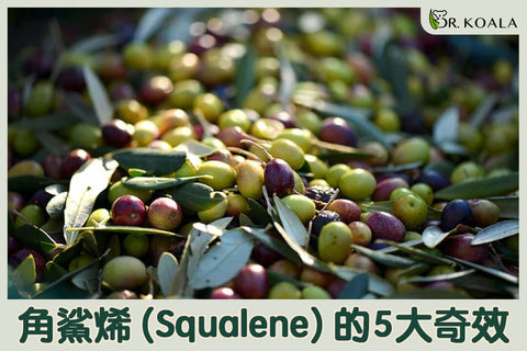 角鯊烯(Squalene)的5大奇效