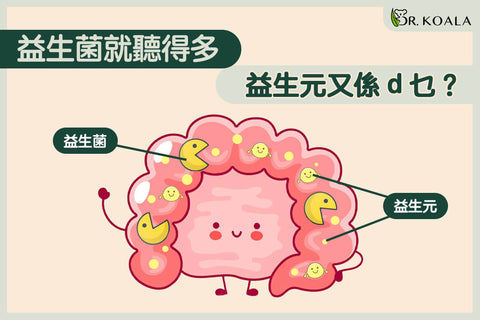 益生菌就聽得多,益生元又係d乜?