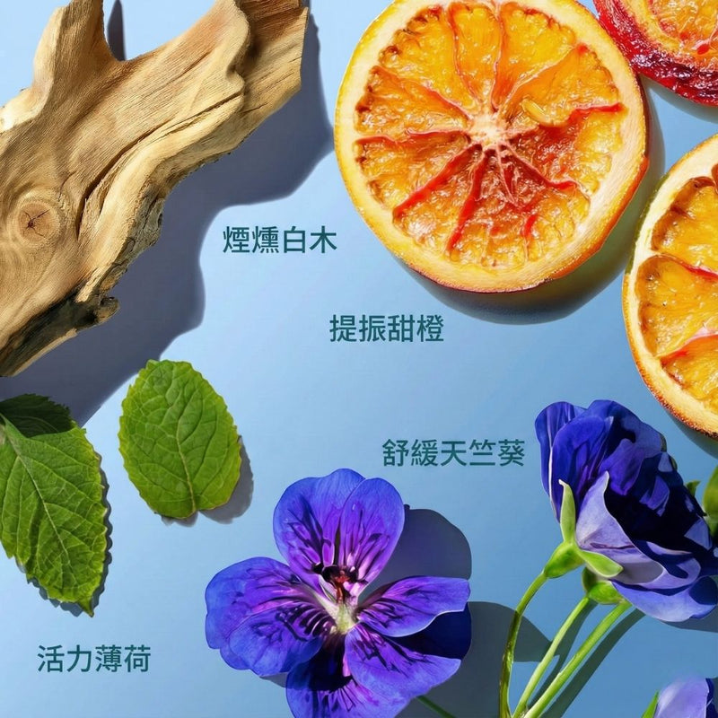 abyssian 保濕豐盈護髮乳