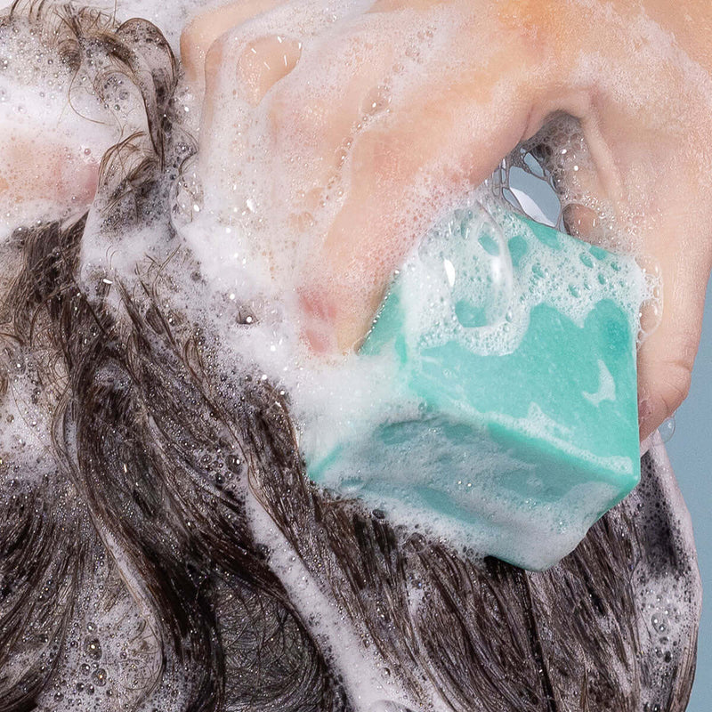Ethique Heali Kiwi - Shampoo for Dandroff or Scalp Problems 110g